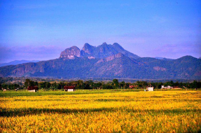 Harga gabah hari ini ponorogo