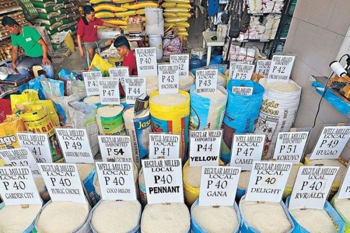 Harga gabah indramayu