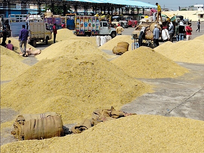 Harga gabah bps