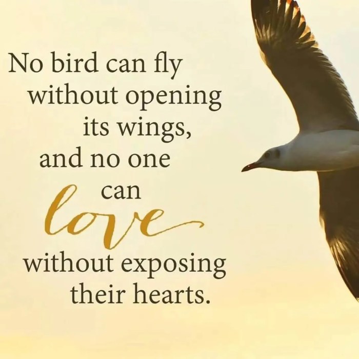Gabah buat lovebird