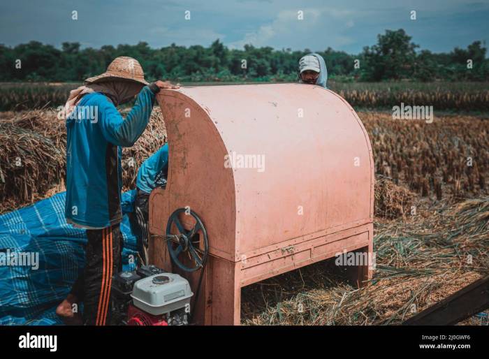 Menggiling gabah memerlukan waktu