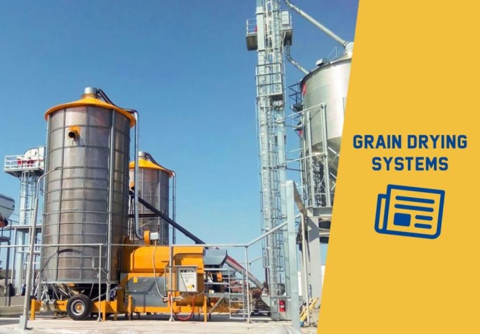 Drying spent dryer wheat crashed conveyors instead greatly reducing conveyor screw bottom Cara kerja mesin pengering gabah