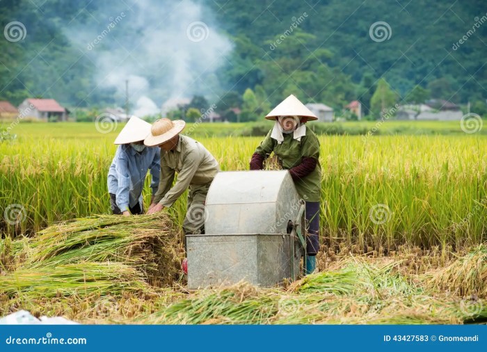 Cara menghilangkan susuk gabah